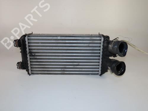 Used Other PEUGEOT 208 II (UB_, UP_, UW_, UJ_) 1.2 PureTech 100 (101 hp) 24486423