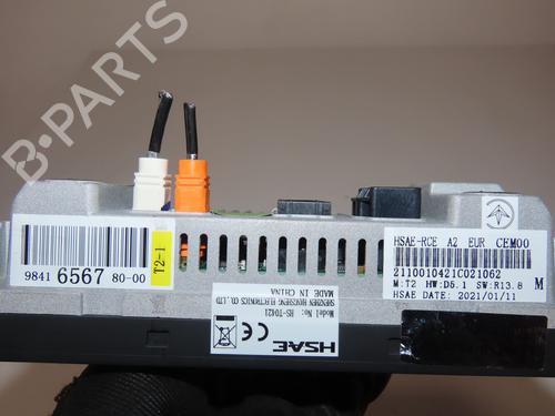 Display monitor CITROËN C3 III (SX) 1.5 BlueHDi 100 (SXYHYP, SXYHTU) | BP24706882C48