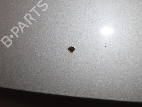 Motorhjelm CITROËN C3 II (SC_) 1.4 HDi 70 (SC8HZC, SC8HR0, SC8HP4) (68 hp) 30265789