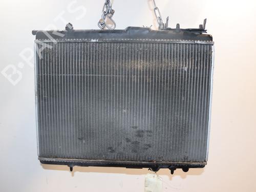 Køler PEUGEOT 206+ (2L_, 2M_) 1.4 HDi eco 70 (68 hp) 30840666