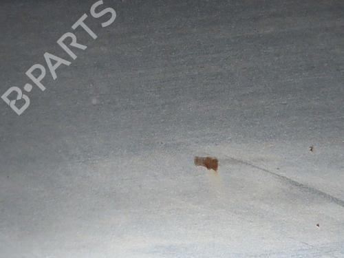 Left front door VW POLO (9N_, 9A_) 1.2 12V | BP24832923C2 
