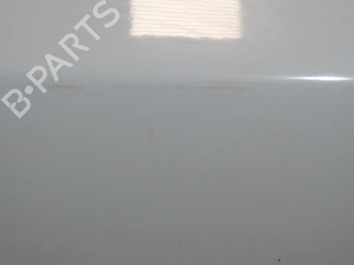 Tailgate RENAULT CLIO III (BR0/1, CR0/1) 1.5 dCi (C/BR0G, C/BR1G) | BP30404731C6 