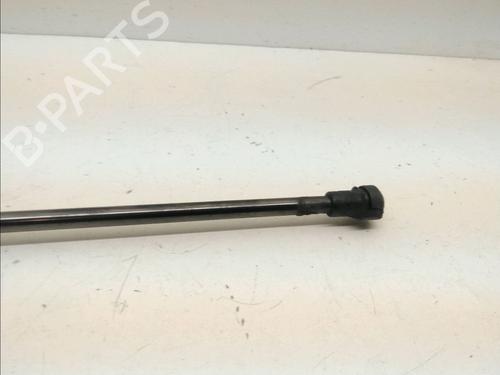 Tailgate lift support RENAULT MEGANE IV Grandtour (K9A/M/N_) 1.5 dCi 110 | BP14996668C138 