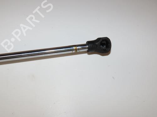 Tailgate lift support RENAULT CLIO III (BR0/1, CR0/1) 1.2 16V | BP17552789C138 
