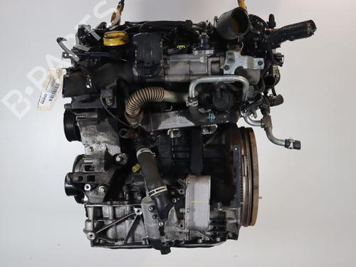 Engine RENAULT KOLEOS I (HY_) 2.0 dCi 4x4 (HY0K) | BP40051527M1 - Image 8