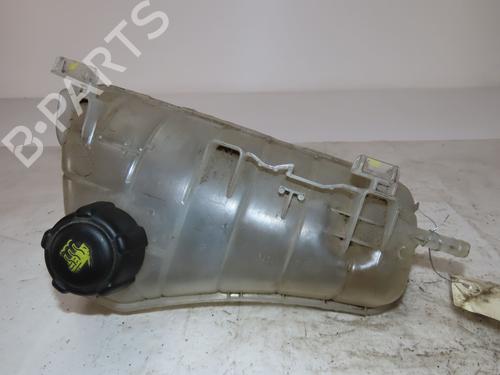 Ekpansionstank RENAULT KANGOO / GRAND KANGOO II (KW0/1_) 1.6 (KW00, KW0Y, KW0E, KW0N, KW0P) (87 hp) 18481599