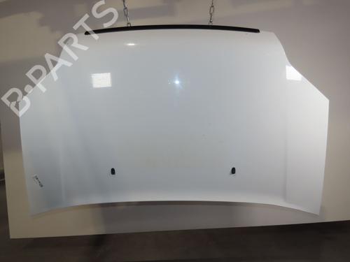 Used Hood FORD TRANSIT CONNECT (P65_, P70_, P80_) 1.8 TDCi (90 hp) 19123829