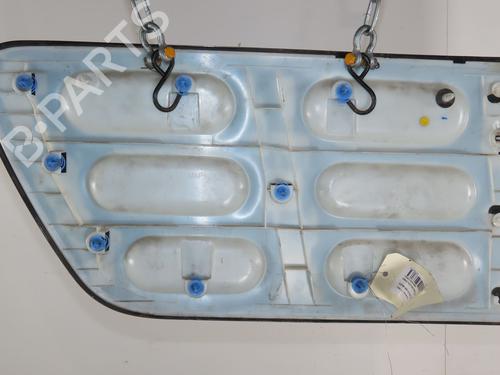 Dørlist CITROËN C4 CACTUS 1.6 BlueHDi 100 (99 hp) 31162505