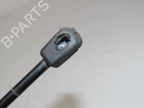 tailgate-lift-support-citroen-c3-aircross-ii-2r_-2c_-2017-33444536 main image