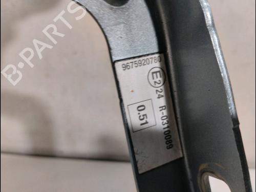 Hinge/Door check strap PEUGEOT 3008 I MPV (0U_) 2.0 HDi Hybrid4 | BP14897661C146 