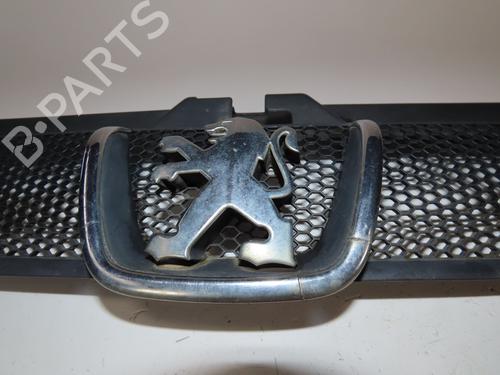 Used Grille Grille 17996201 17996201