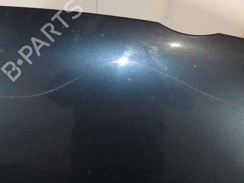Hood VW GOLF PLUS V (5M1, 521) 1.9 TDI | BP25150248C1 