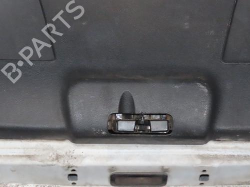 Tailgate RENAULT CLIO III (BR0/1, CR0/1) 1.5 dCi (C/BR0G, C/BR1G) | BP30404731C6 