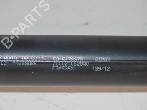 Tailgate lift support RENAULT SCÉNIC III (JZ0/1_) 1.5 dCi | BP30825234C138