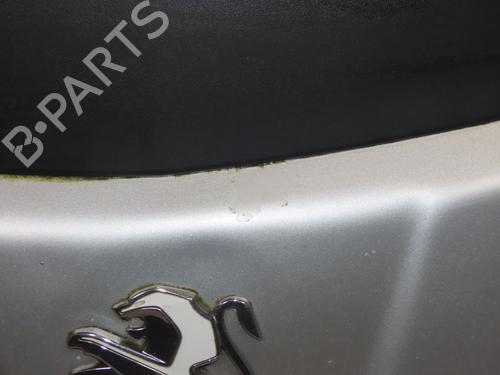 Capot PEUGEOT ION Electric (67 hp) 32151387