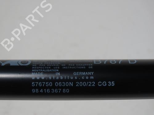 Tailgate lift support CITROËN C4 Grand Picasso II (DA_, DE_) 1.6 BlueHDi 120 | BP31055509C138