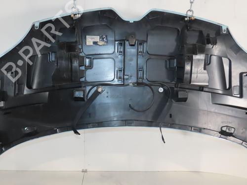 Hood RENAULT TWINGO III (BCM_, BCA_) 1.0 SCe 70 | BP16211690C1