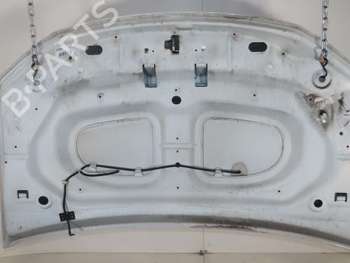 Used Hood DACIA SANDERO II 1.2 (75 hp) 28594083