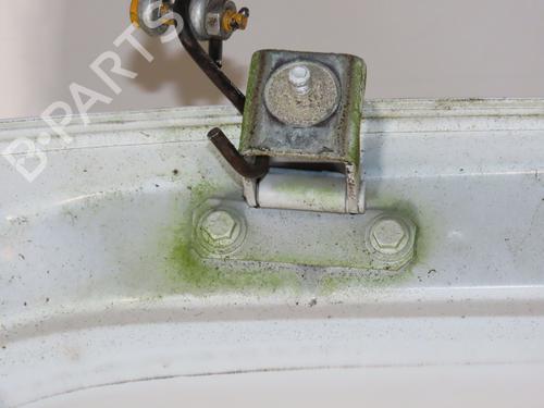 Tailgate DACIA SANDERO 1.4 MPI LPG | BP32659561C6 