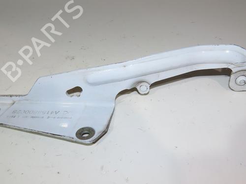 Hinge/Door check strap RENAULT KANGOO Express (FW0/1_) 1.5 dCi 90 (FW0G, FW05, FW08, FW11) | BP23162347C146 