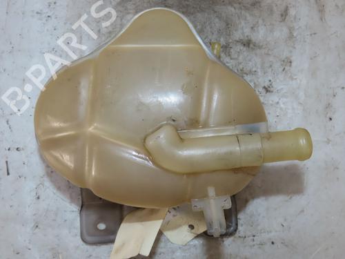 Expansion tank OPEL COMBO Box Body/MPV (X12) 1.6 CDTI (B05) | BP20314324C120 