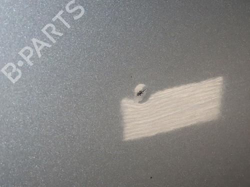 Used Left rear door RENAULT SCÉNIC III (JZ0/1_) 1.5 dCi (110 hp) 24489041
