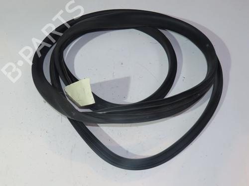 Joint de porte de voiture RENAULT ZOE (BFM_) ZOE (88 hp) 26442726