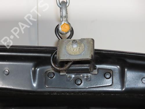 Tailgate RENAULT TWINGO II (CN0_) 1.5 dCi (CN0U) | BP32223982C6