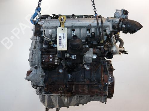 Engine KIA VENGA (YN) 1.6 CRDi 115 | BP38548619M1  - Image 6