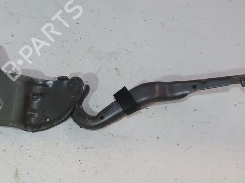 Used Hinge/Door check strap RENAULT CLIO III (BR0/1, CR0/1) 1.5 dCi (BR17, CR17) (86 hp) 29016590