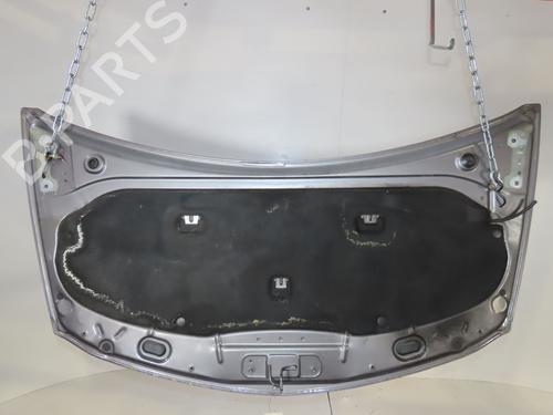 hood-renault-clio-iii-br01-cr01-2005-2006-2007-2008-2009-2010-2011-2012-2013-2014-36283100 main image