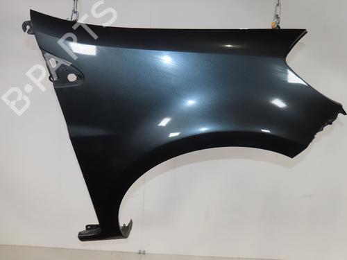 Right front fenders RENAULT CLIO III (BR0/1, CR0/1) 1.5 dCi (BR17, CR17) | BP27602838C42 