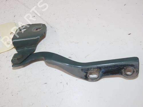 hingedoor-check-strap-dacia-spring-2020-36849737 main image