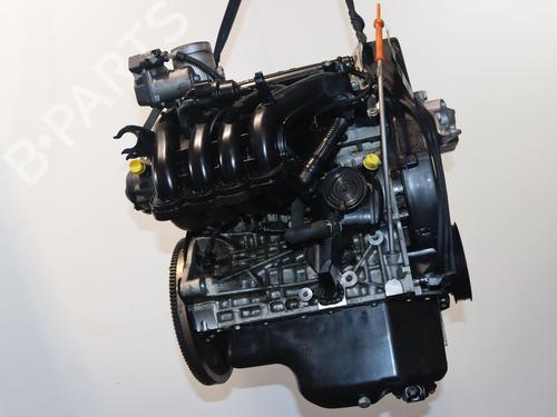 Motor VW GOLF VI (5K1) 1.4 (80 hp) 24486275