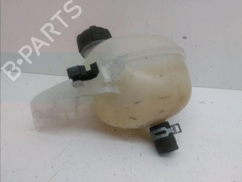 Expansion tank RENAULT TWINGO III (BCM_, BCA_) 1.0 SCe 70 (BCMB) | BP15577664C120