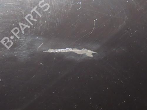 Left front fenders RENAULT SCÉNIC III (JZ0/1_) 1.6 dCi (JZ00, JZ12) | BP25015380C41 