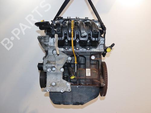 Engine RENAULT TWINGO II (CN0_) 1.2 16V (CN04, CN0B) | BP29516544M1 