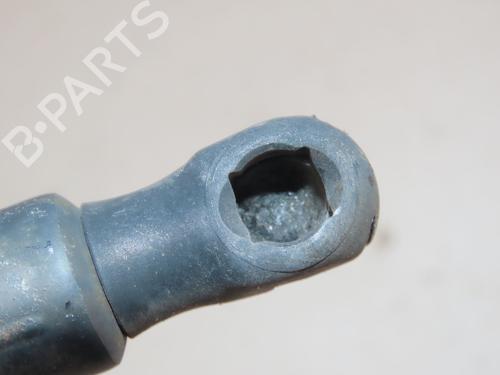 Tailgate lift support VW GOLF VI (5K1) 1.6 TDI | BP30048075C138 