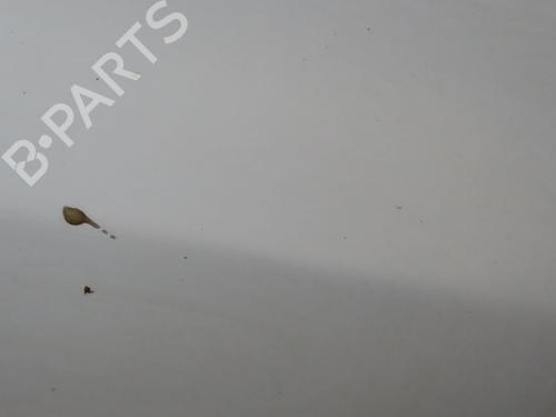 Right front door VW POLO V (6R1, 6C1) 1.2 TSI 16V | BP24832920C3 