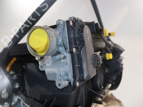 Used Engine RENAULT TWINGO II (CN0_) 1.2 16V (CN0K, CN0V, CN0A) (76 hp) 31843794