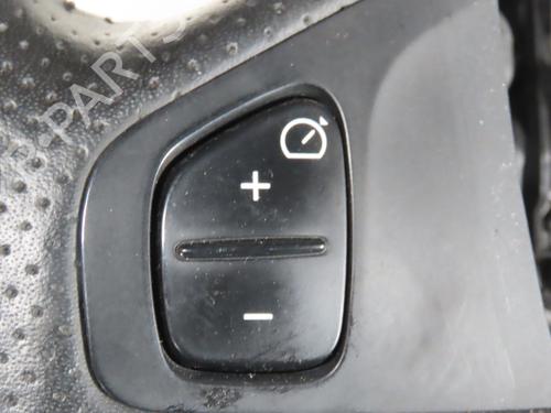 Rat RENAULT ZOE (BFM_) ZOE (BFMD) | BP30291804C49