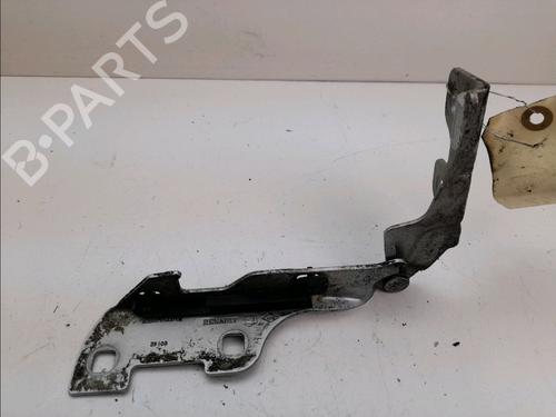 Used Hinge/Door check strap RENAULT CLIO II (BB_, CB_) 1.5 dCi (B/CB3M) (64 hp) 14897648