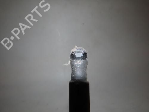 Tailgate lift support RENAULT CLIO V (B7_) 1.5 Blue dCi 115 (B7AD) | BP20846201C138