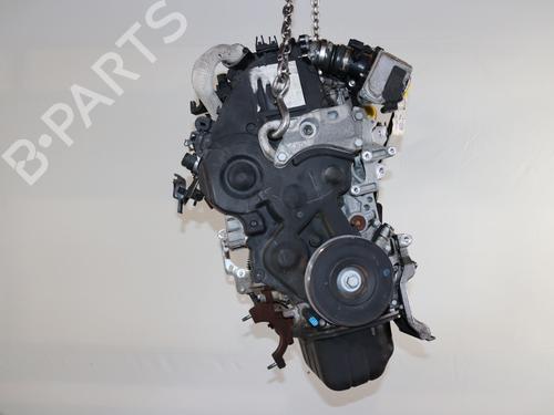 Engine FORD FIESTA VI (CB1, CCN) 1.6 TDCi | BP17783559M1 