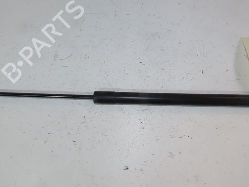 Used Tailgate lift support RENAULT SCÉNIC III (JZ0/1_) 1.9 dCi (JZ0J, JZ1J, JZ1K, JZ1S) (131 hp) 28833568