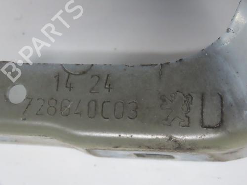 hingedoor-check-strap-peugeot-208-i-ca_-cc_-2012-2013-2014-2015-2016-2017-2018-2019-2020-2021-31151960 main image