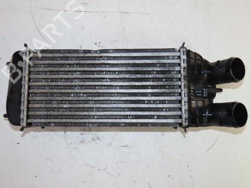 Intercooler NISSAN INTERSTAR Van (X70) dCi 80 | BP33835752M30 - Image 3
