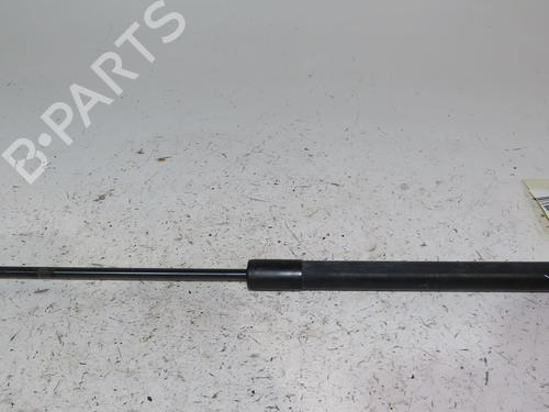 Used Hood lift support RENAULT MEGANE IV Hatchback (B9A/M/N_) 1.5 dCi 90 (B9A1) (90 hp) 24488367