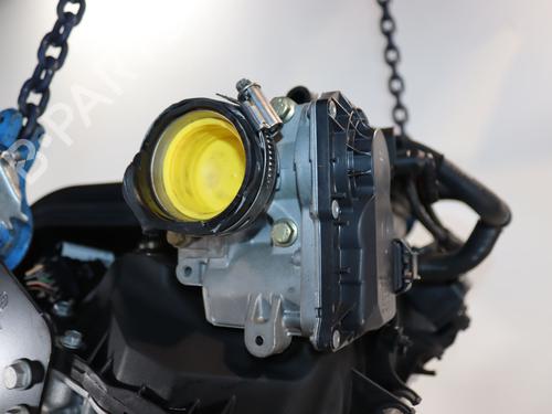 Used Engine Engine RENAULT CLIO II (BB_, CB_) 1.2 16V (BB05, BB0W, BB11, BB27, BB2T, BB2U, BB2V, CB05,... (75 hp) 40026728 40026728