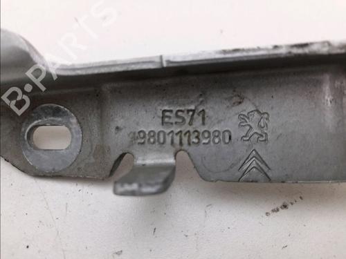 Used Hinge/Door check strap CITROËN C4 CACTUS 1.6 BlueHDi 100 (99 hp) 14897673